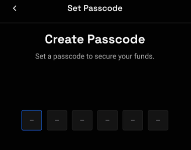 Set Passcode